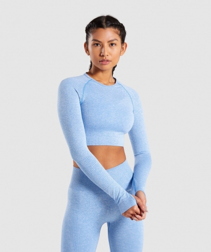 Crop Top Full Sleeve